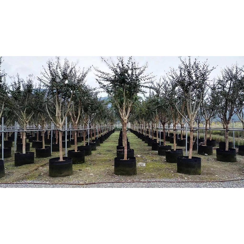 Мешки для выращивания растений Многоцелевые горшки из нетканого материала Контейнеры для уличных растений Подходят для овощей, фруктов, цветов и трав