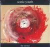 Виниловая пластинка SONIC YOUTH - The Eternal OLE8293 Matador US Rock