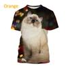 2024 Новые футболки с изображением животных Ragdoll Cat 3D, унисекс, повседневные футболки с коротким рукавом и принтом забавного котенка