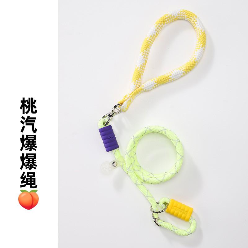Reflective Dog Leash With Ergonomic Handle - Non-Expandable Nylon Lead Small Medium Large Dogs