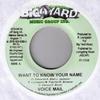 7-дюймовая пластинка ГОЛОСОВАЯ ПОЧТА / KY-ENIE - Хочу знать твое имя / Времена грубые BYJ7038 Big Yard Music Ямайка Регги, Ска и Даб Б/У