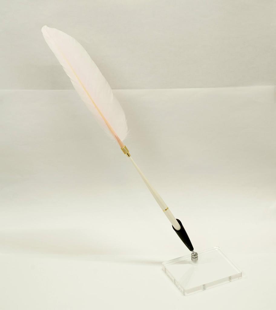 Набор из 2 штук Японская обработка гусиное перо пластиковый стержень ручка банкира прозрачная акриловая подставка для ручек с черным держателем для ручек розовое перо + Q-S5P1WG-2-P