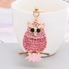 2024 New Europe Creative Key Chain Animal Pendant Cute Paint Owl Keychains Custom Metal Women Bag Charms Car Keyring Accessories