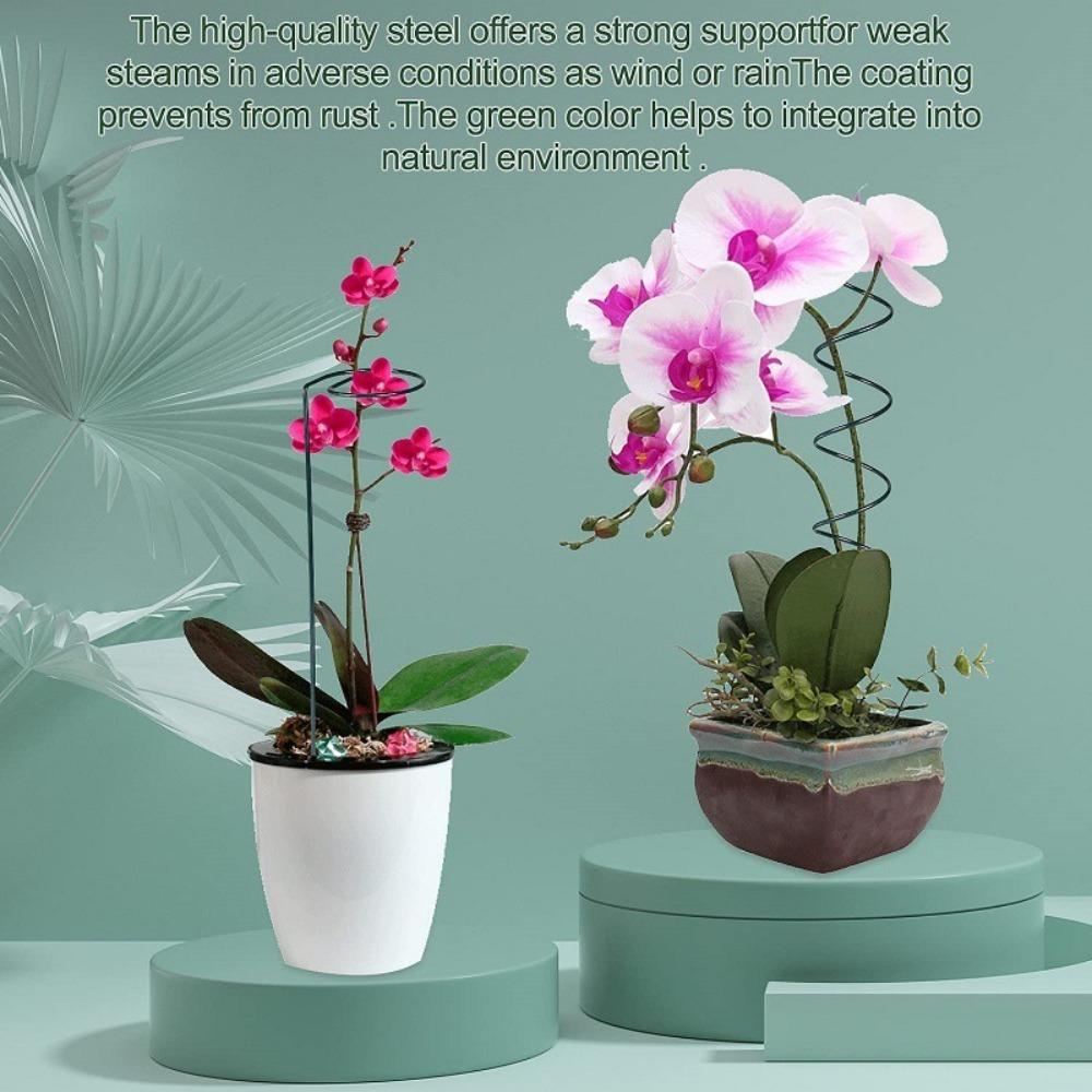 Подставка для кольев Спиральные колья для помидоров Фиксирующий стержень Витые колья для помидоров Новая рама клетки для растений Сад