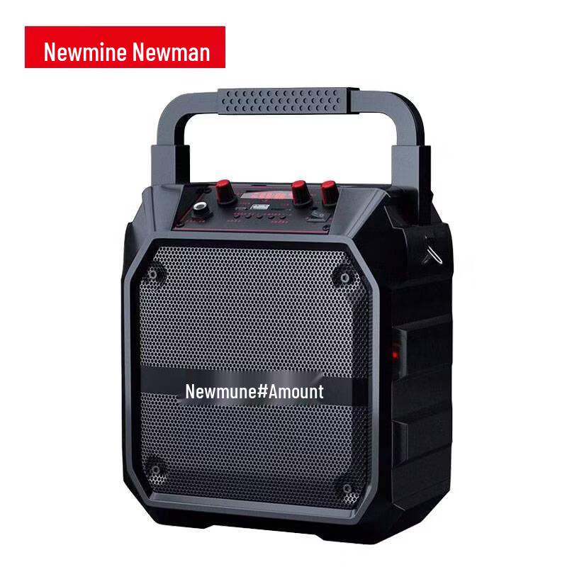 Портативный Bluetooth KTV-динамик Newmine K97 с микрофоном, штекер CN (адаптер в комплекте)