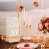 10Pcs Acrylic Wedding Table Number Sign DIY Blank Clear Display Signs with Wooden Base for Wedding Party Event Table Decoration