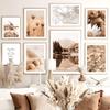 Reed Dandelion Flower Shell Sand Forest Wall Art Canvas Painting Nordic Posters And Prints Wall Pictures For Living Room Decor