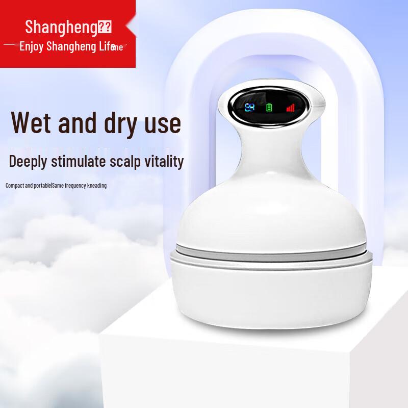 Automatic Head Massager