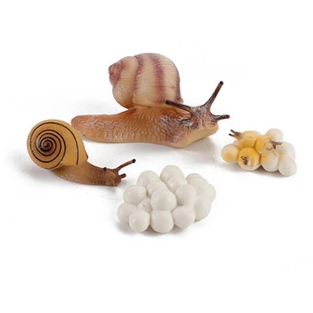 Kids Cognitive Snail Growth Cycle Cycle Mantis Figurine Praying Mantis Toy Life Cycle Figures