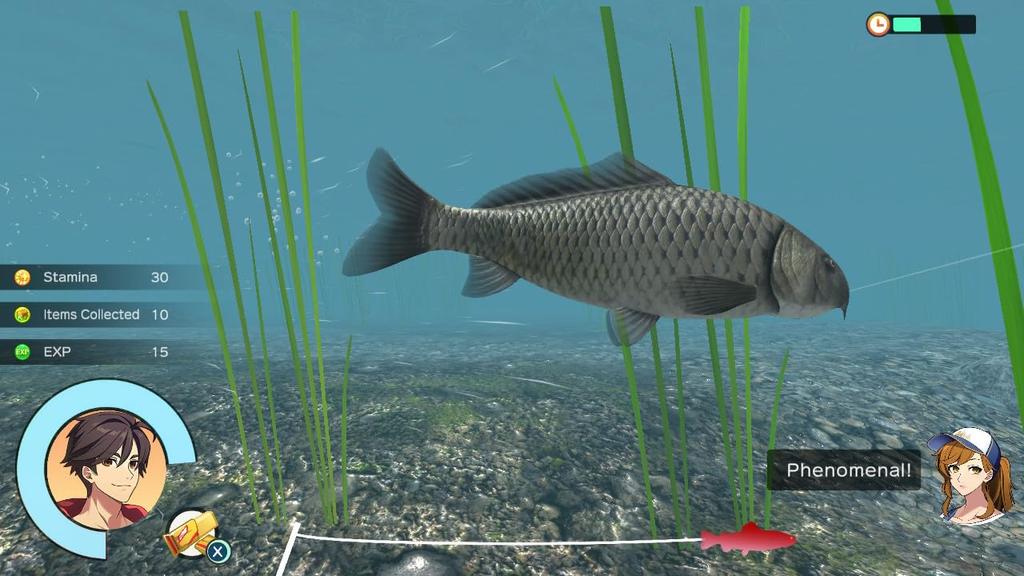 Дни Лета на катушке North Switch Fishing (Импортная версия Америка) –