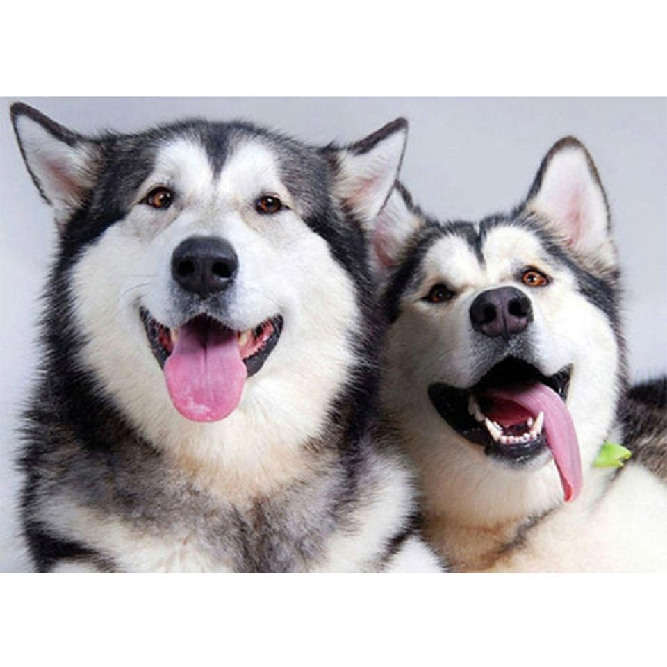5D DIY алмазная живопись животное хаски картина полная алмазная вышивка горный хрусталь мозаика набор для вышивки крестом украшение мебели