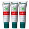 Himalaya Lip Balm 10g Tube Type, 3 Pieces