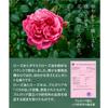 Твердое мыло Reishi Cordyceps Damask Rose 80г
