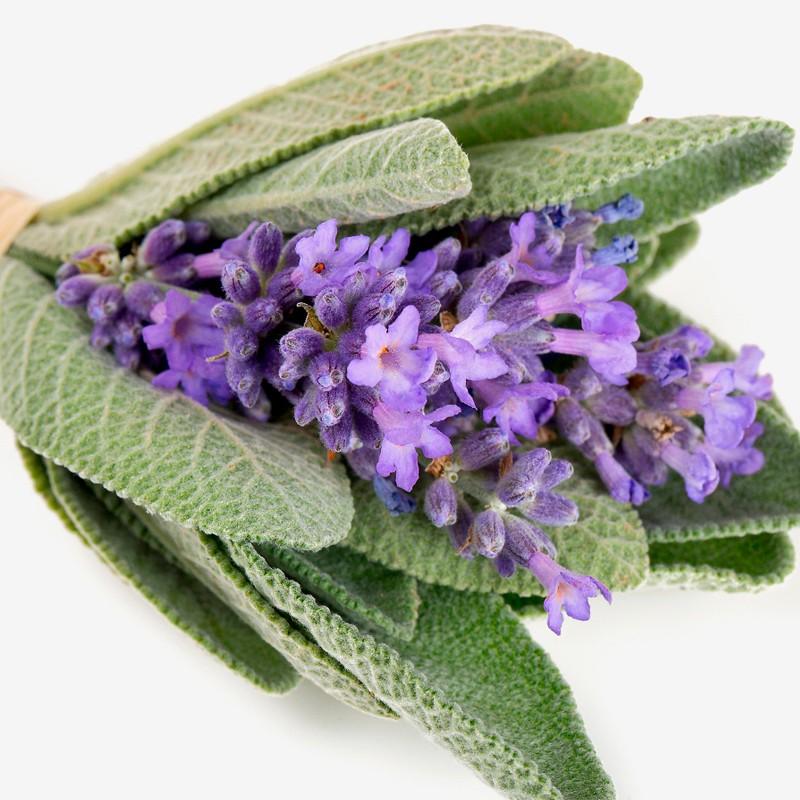 Yodeyma Houston парфюмированная вода для мужчин 50 мл