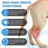 Dog Knee Brace Suitable for Recovery of Loss of Stability Caused by
