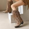 Women's High-heeled Boots for Autumn and Winter, Solid Color, Thick Heel, Plus Size, Casual Fringe Boots