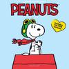 График 2024 Peanuts Настенный x Толстый Дом Офис Большой Ежемесячный Отмечены 3 Языка Страница Предварительного Просмотра 4 Месяцев для Календаря 2025, 12” 12”, Бумага, и Органайзер,