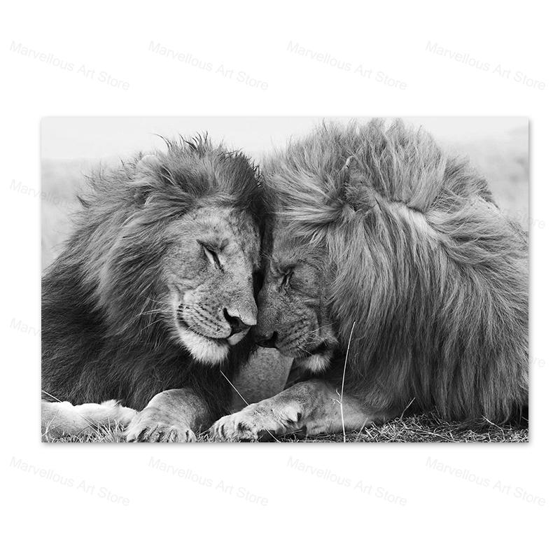 Черно-белые львы, картины на холсте на стене, художественные постеры и принты, африканские животные, голова к голове, картина Куадрос, домашний декор