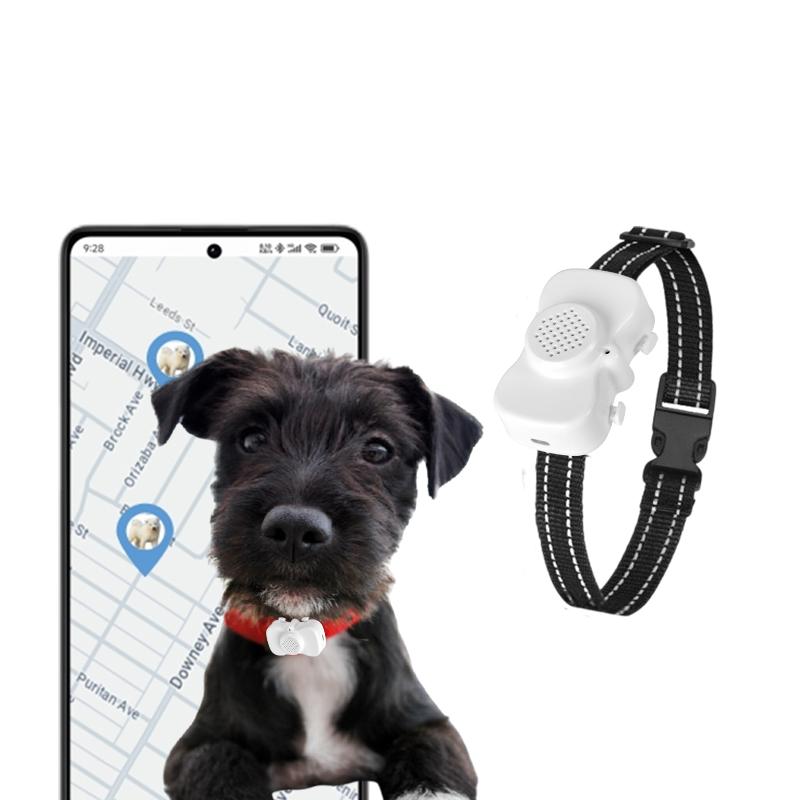 Новейший 4G Мини Умный GPS-локатор Устройство против потери Локатор GPS-трекер Мини-позиционирование Мини-трекер для животных Для собак и кошек