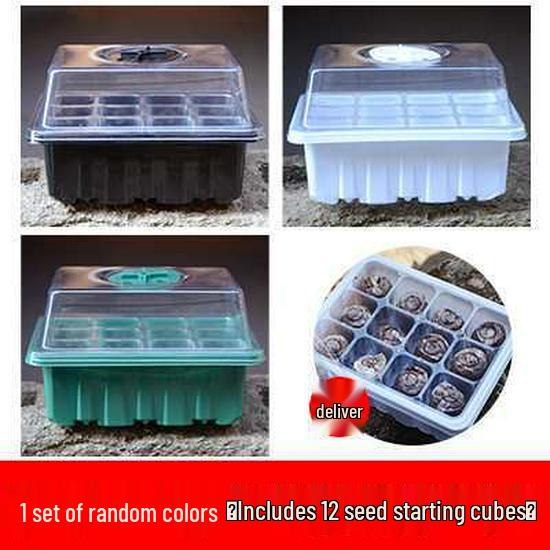 Three-Piece Succulent Seedling Tray Set: 12-Hole Plastic Box with Lid for Moisture and Temperature Control