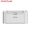Pantum P2507N A4 Черно-белый лазерный принтер вилка CN (адаптер в комплекте)