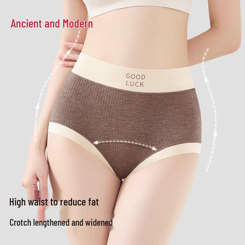 GUJIN Women's High-Waist 60S Cotton Briefs with Mulberry Silk Crotch, 3-Pack