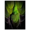 Canvas print, Green feathers