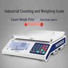 Hochoice High-Precision Electronic Counting Scale (CN version)