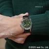 Seiko PROSPEX Alpinist Механические Автоматические Часы SBDC211 Ограниченная Серия Распространение в Основных Магазинах Мужские Наручные Часы