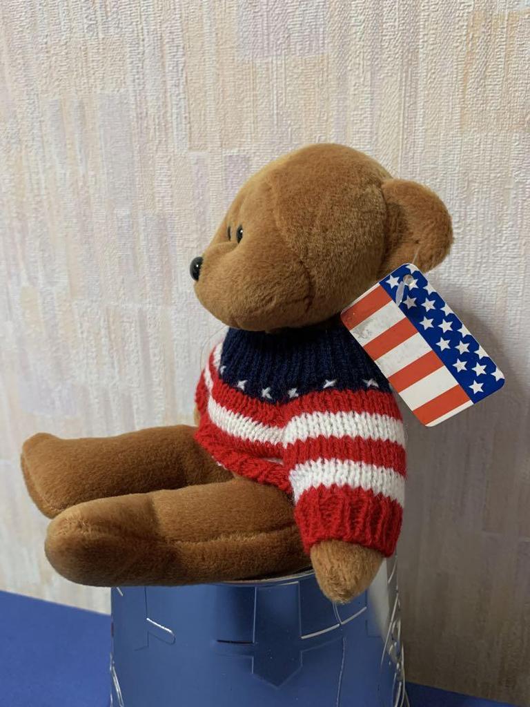 [USED] plush land teddy bear