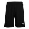 Puma Шорты Teamliga