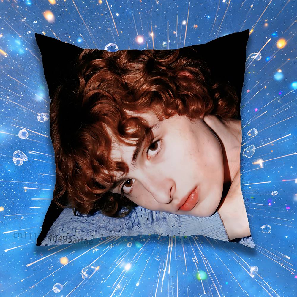 Finn Wolfhard Stranger Pillow for Sofa Seat Chair DecorativeModern Home Decor Print Throw Cushion
