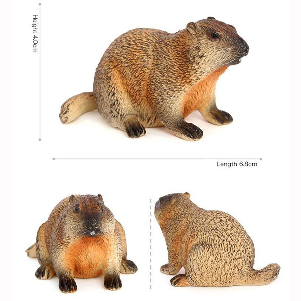 Фигурка дикого животного Marmot Искусственное украшение Пластиковая фигурка сурка Дом