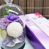 Preserved Flowers New Shion and Incense Flower Style Set Offering Flowers Cork Glass Dome Shape