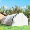 Tunnel Greenhouse, 18 m2, Doors and 8 Windows, 140 g/m2 PE Cover, 600 x 300 x 200 cm, White