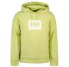 Helly Hansen Tokyo худи