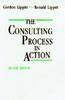 The The Consulting Process In Action Book