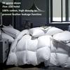 Winter Cotton Goose Down Quilt Five-Star Hotel Duvet Super Soft Fluffy Queen King Full Size Four Seasons Duvets Blanket 220X240