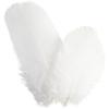 Good Quality Round Goose Feathers. Ref 51816