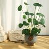 Floral Artificial Faux Plants Decorative Fake Lotus Leaves  Living Room Ornaments