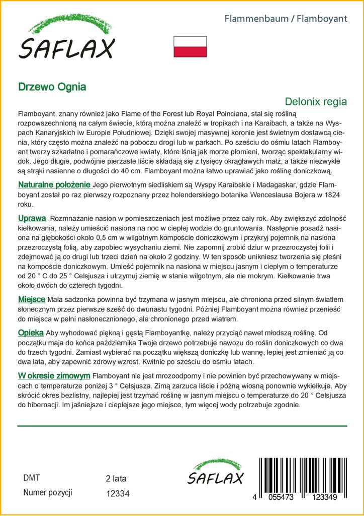 SAFLAX Яркий - 6 семян - Delonix regia