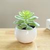 Fake Potted Plant Weather Resistant Photo Props Wide Application Excellent Mini Succulents Desk Office Potted Home Accessories