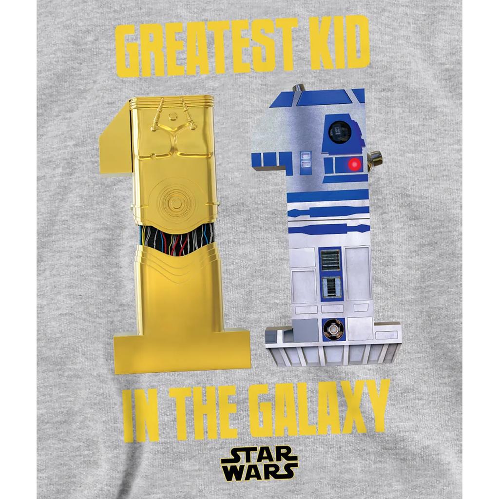 Star Wars Childrens/Kids Greatest Kid C3Po R2D2 Pullover Hoodie