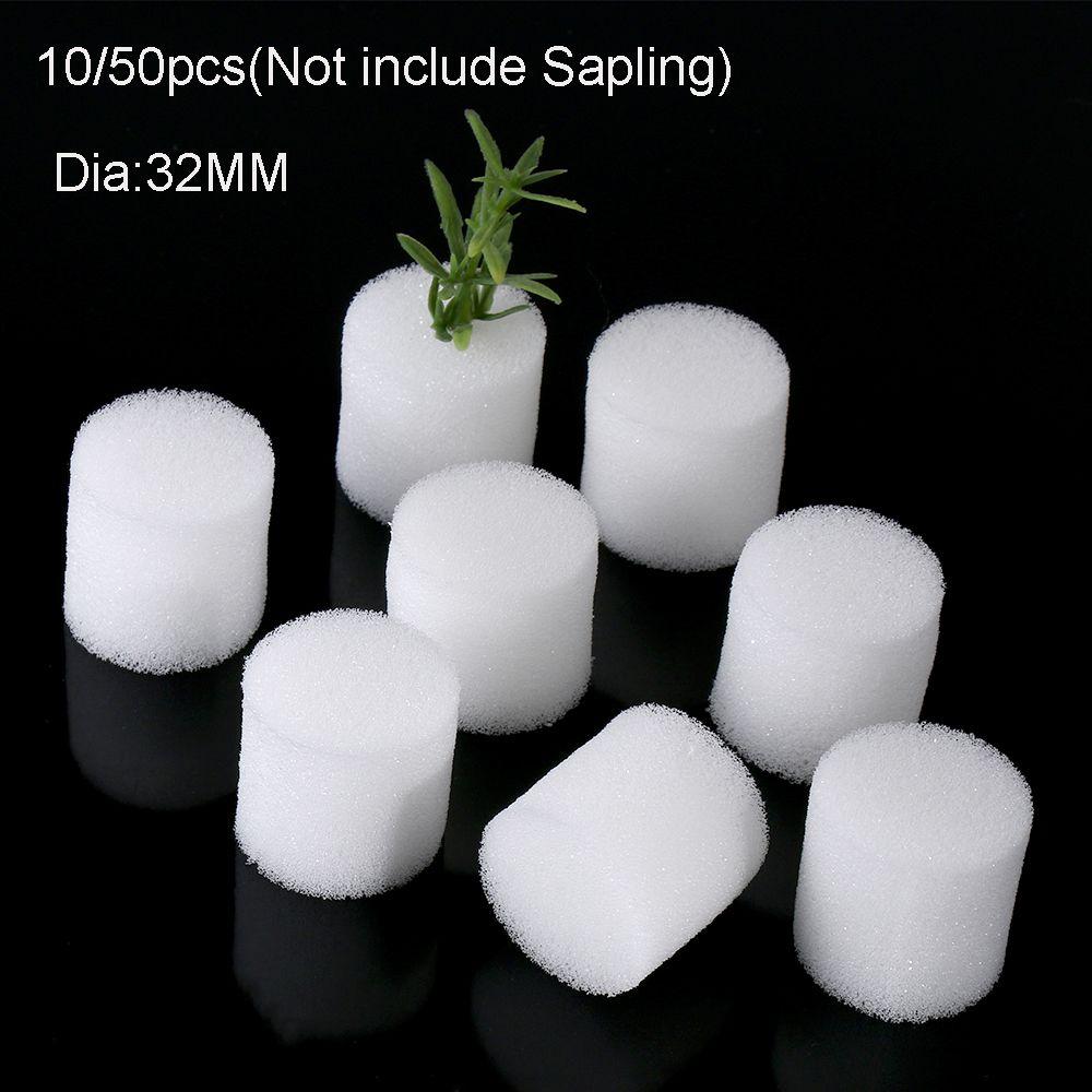 10/50pcs Durable Aquarium Cultivation Soilless Hydroponic  Flower Pots Seed Trays Nursery Sponge