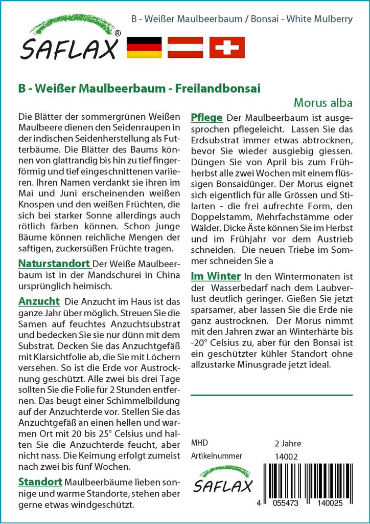 SAFLAX Бонсай - Белая шелковица - 200 семян - С горшечным субстратом для лучшего выращивания - Morus alba