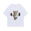 Funny Gym Sam Sulek Cat Graphic Print T-shirts Men Women Cute Fitness Pump Cover Tshirt Woman Meme T Shirt Short Sleeve