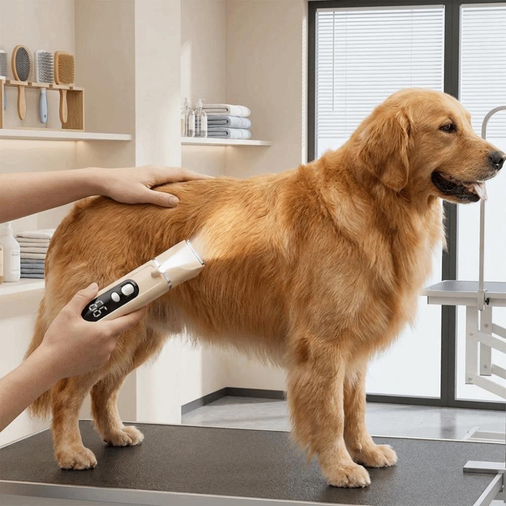 Low Noise Pet Hair Clipper Professional Electric Nail Trimmer Cat Shaver Pet Grooming
