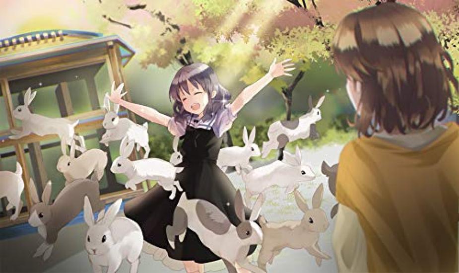 Itsuka no Memorajo Книжная версия с кодом для скачивания игры Мини цветная бумага, нарисованная Нарусэ ~Kotonoha Amrilato~ [Бонус предзаказа Тисато]