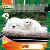 #Коллекция декора для салона автомобиля с активированным углем: Новые украшения для автомобиля