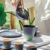 Wan Qiantang Summer Lotus Ceramic Gongfu Tea Set